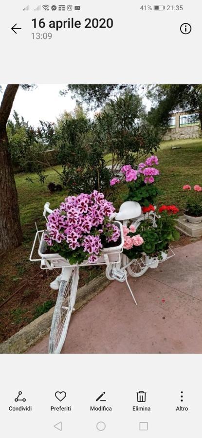 Hotel La Dimora Di Nonno Nuccio Ragusa Zewnętrze zdjęcie